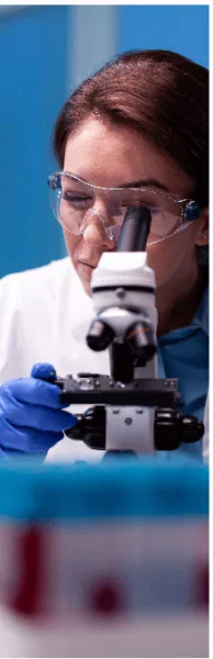 How Glyco Harmony works — blood sugar support mechanism